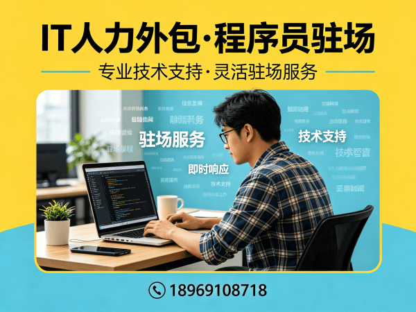 深圳IT人力外包解决方案：大数据开发程序员或工程师人力外包的高效选择