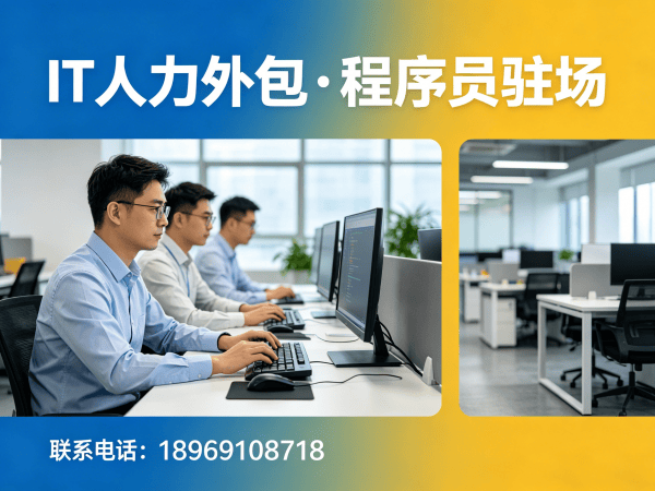 天津IT人力外包解决方案：破解程序员驻场开发难题，高效匹配技术团队