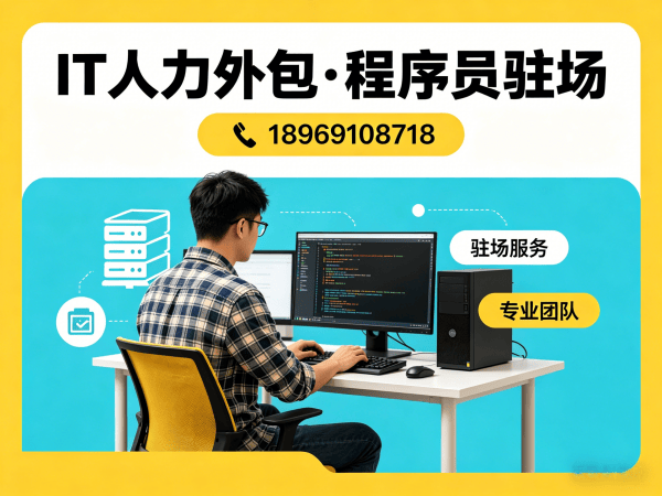 武汉IT人力外包解决方案：人形机器人开发工程师程序员驻场开发快速响应