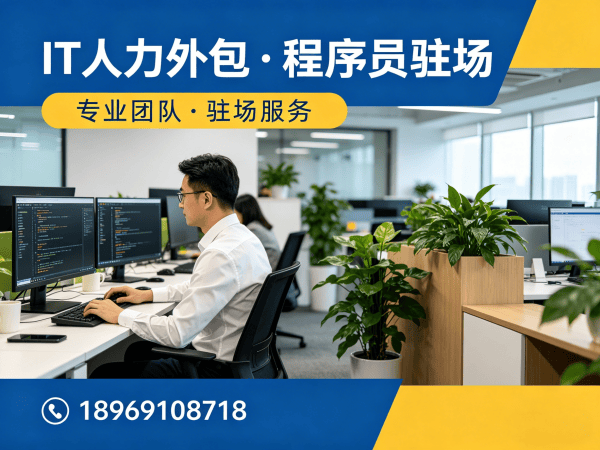 宁波IT人力外包解决方案：解决企业技术团队搭建难题