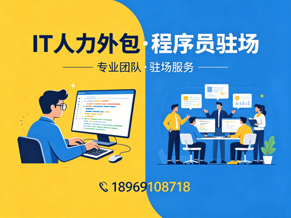 天津Go开发程序员或是工程师人力外包解决方案