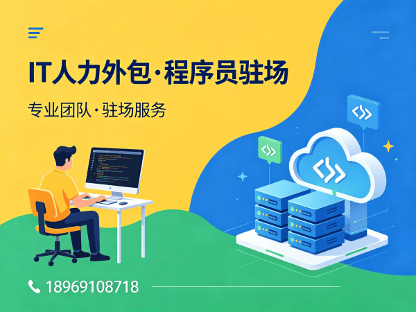合肥IT人力外包解决方案：大数据开发程序员驻场服务，破解企业技术人才困境